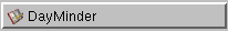 DayMinder Taskbar Icon