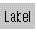 Label widget