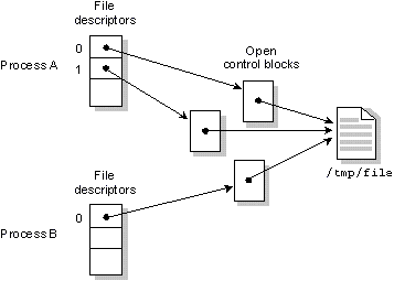 Figure showing processes opening the same file